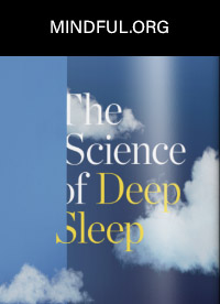 Mindful.org article The Science of Deep Sleep by Caren Osten